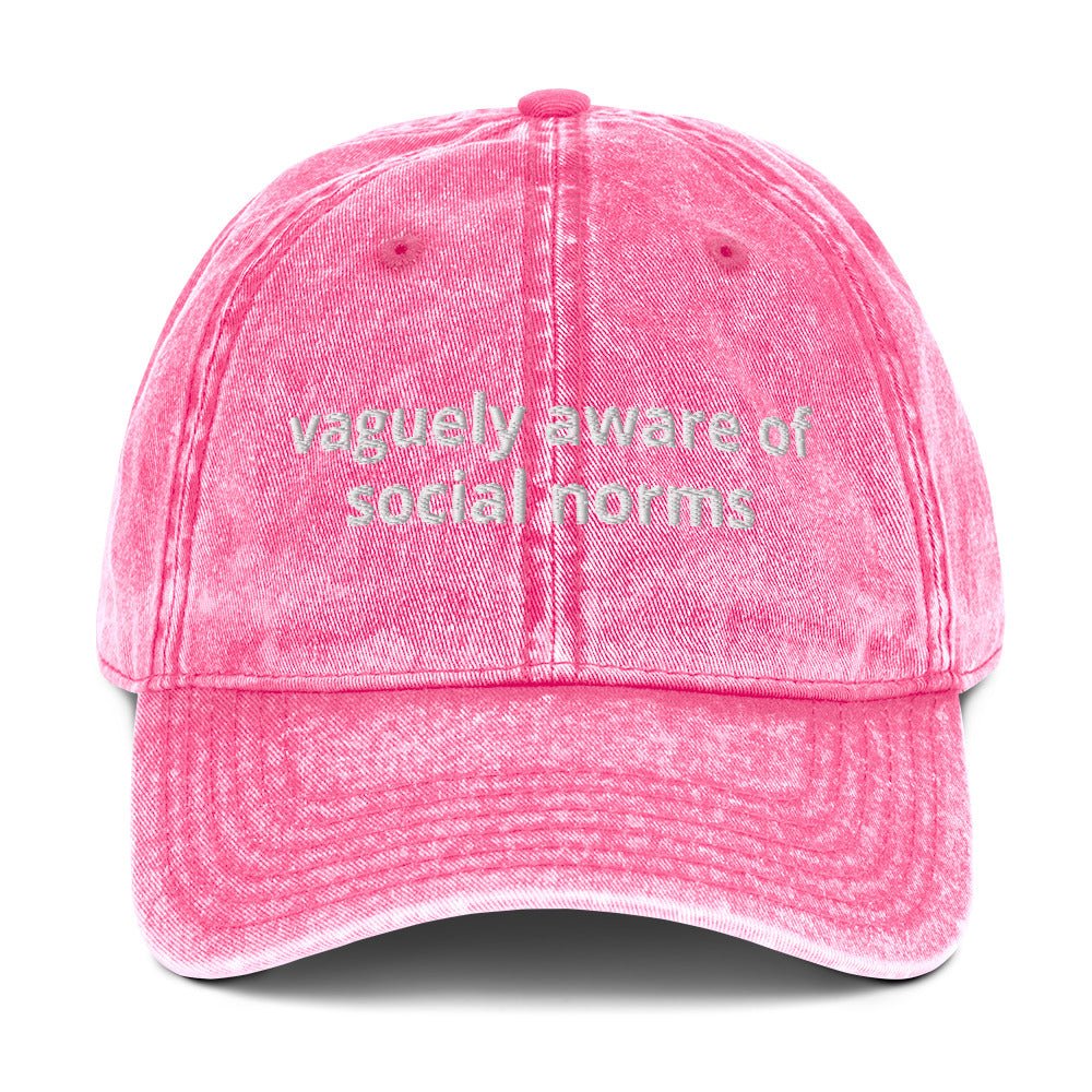 Vaguely Aware Of Social Norms Vintage Dad Hat - ninanush