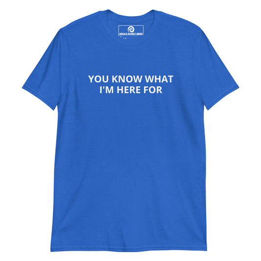 Blue You Know What I'm Here For T-Shirt