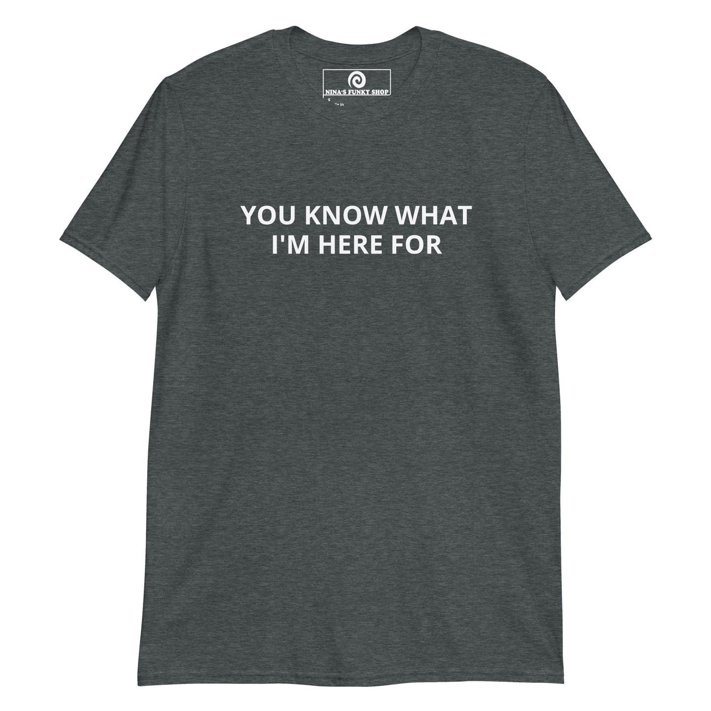 Dark Gray You Know What I'm Here For T-Shirt