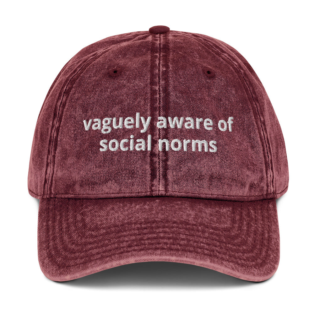 Maroon Vaguely Aware Of Social Norms Vintage Dad Hat