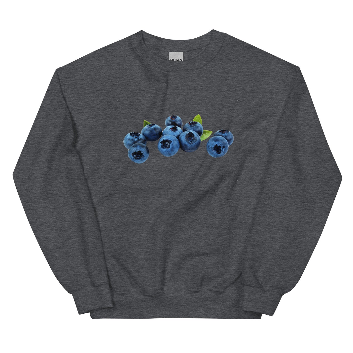 Blueberries Sweatshirt - ninanush