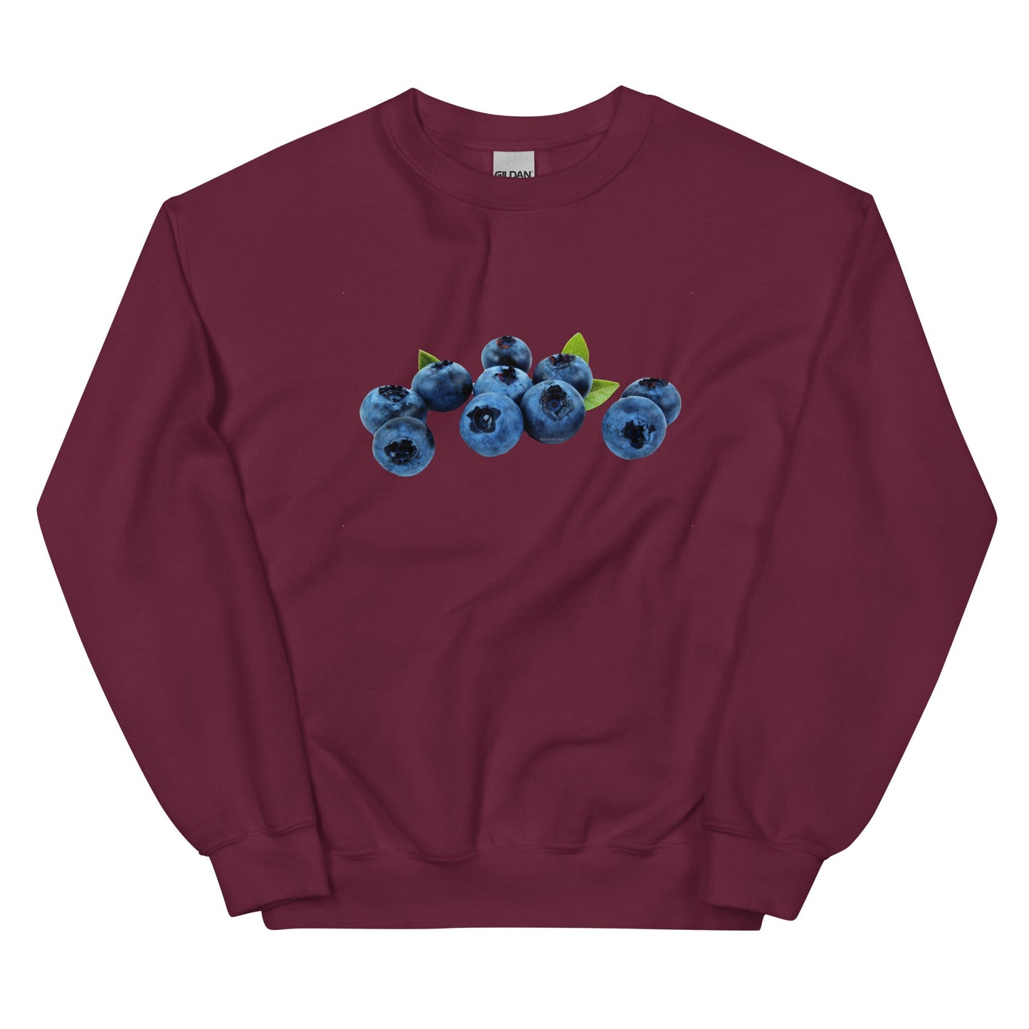Blueberries Sweatshirt - ninanush