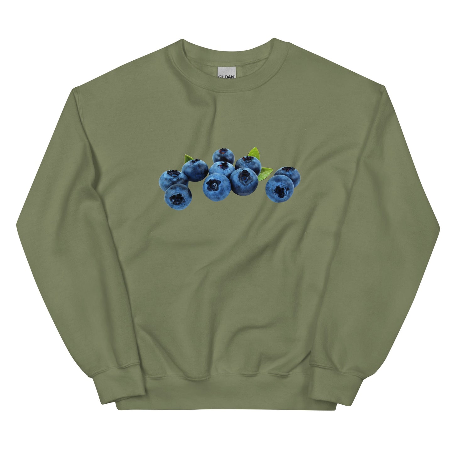 Blueberries Sweatshirt - ninanush