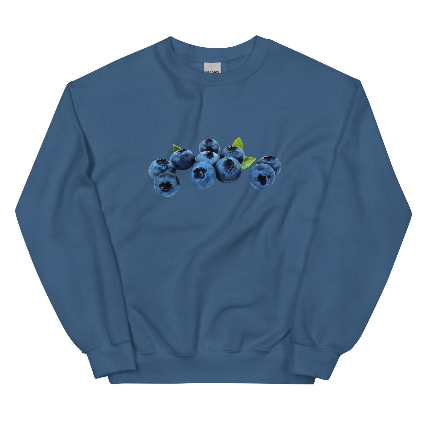 Blueberries Sweatshirt - ninanush