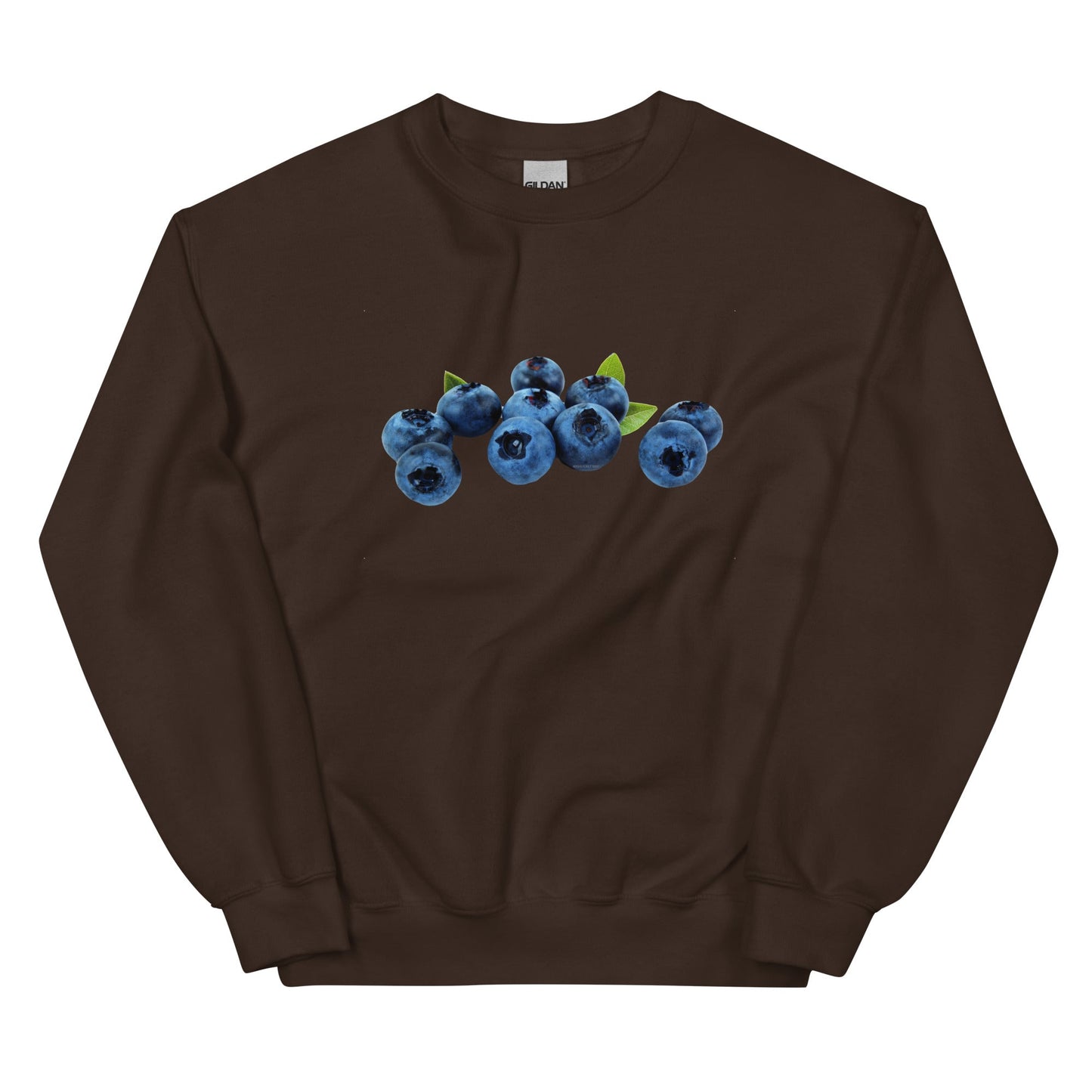 Blueberries Sweatshirt - ninanush