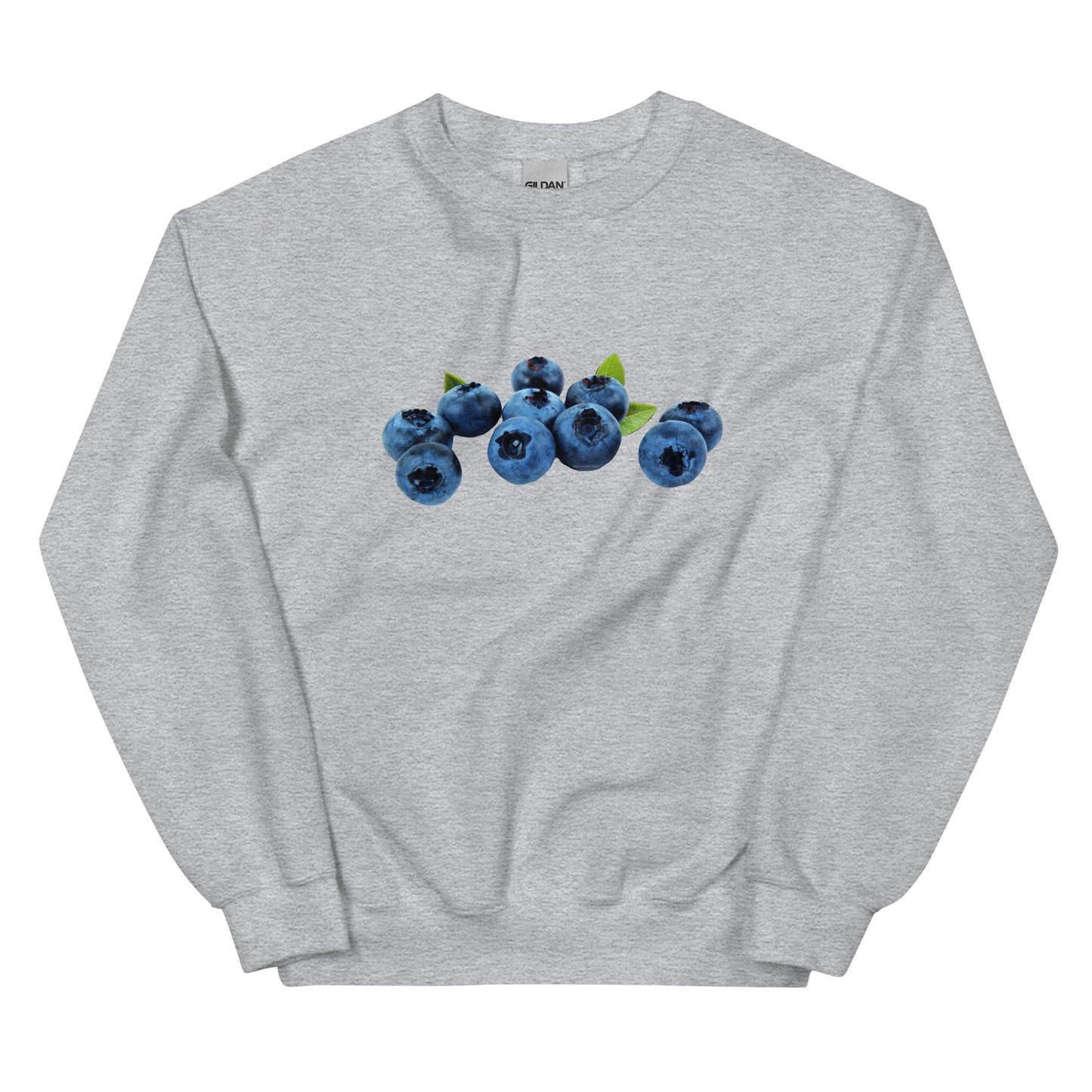 Blueberries Sweatshirt - ninanush