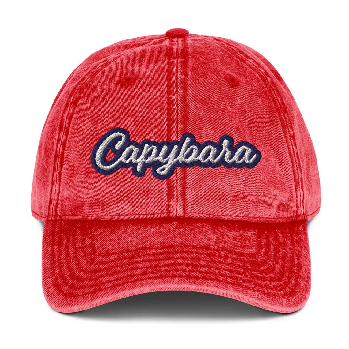 Capybara Vintage Dad Hat - ninanush