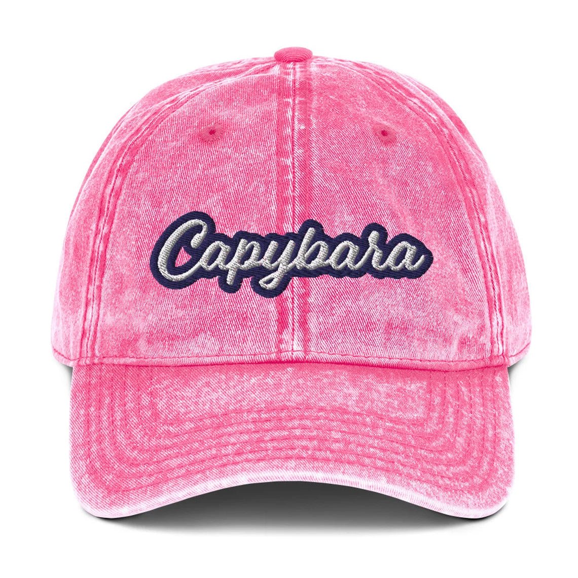Capybara Vintage Dad Hat - ninanush