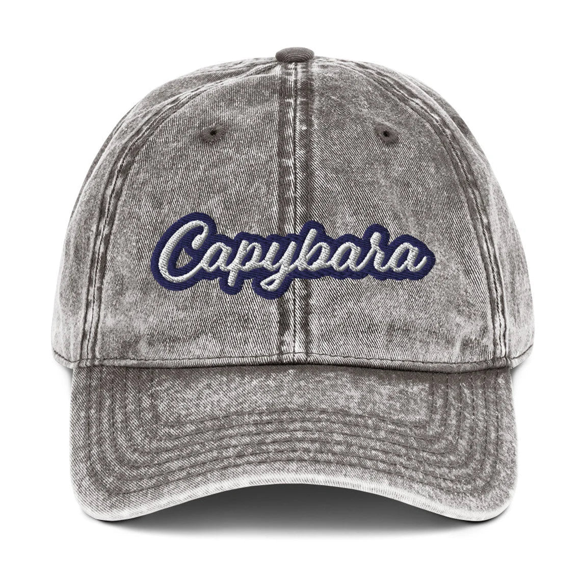 Capybara Vintage Dad Hat - ninanush