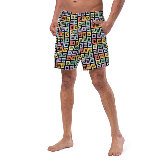 Colorful Raccoons Swim Shorts - ninanush