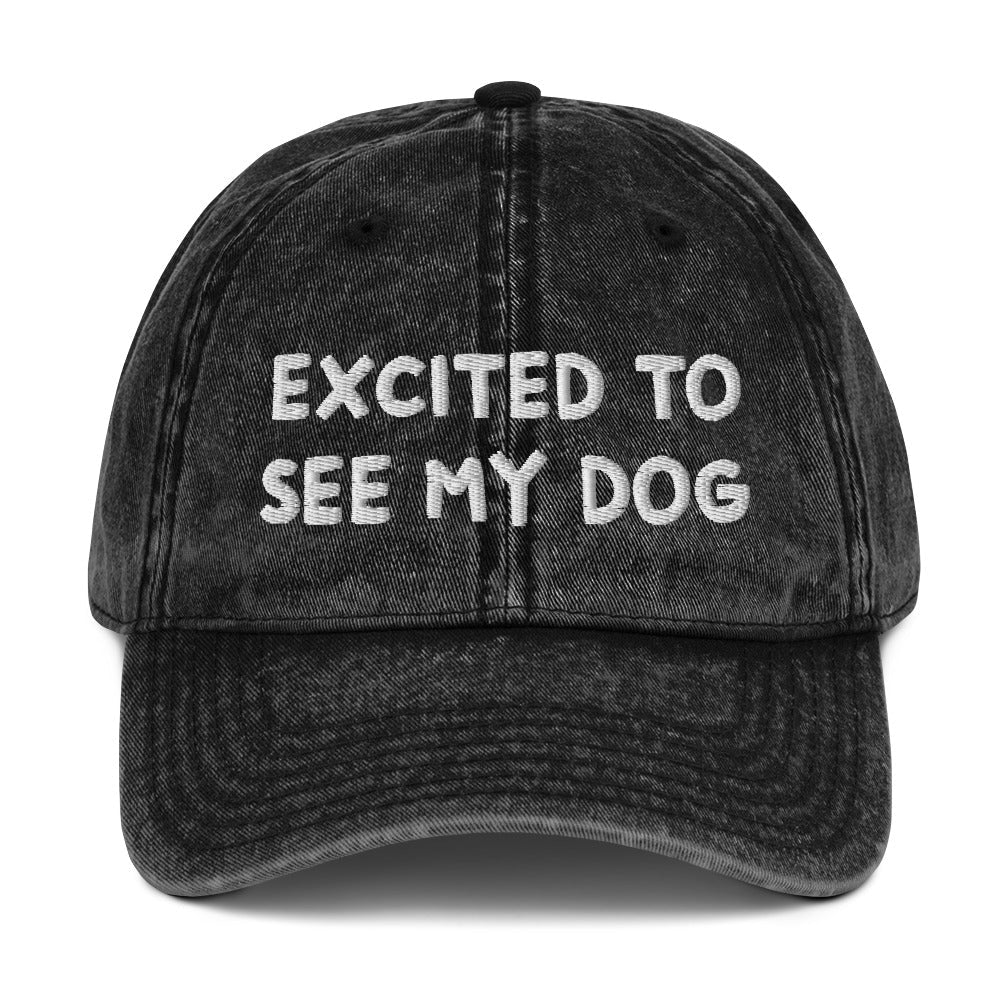 Excited To See My Dog Vintage Dad Hat - ninanush