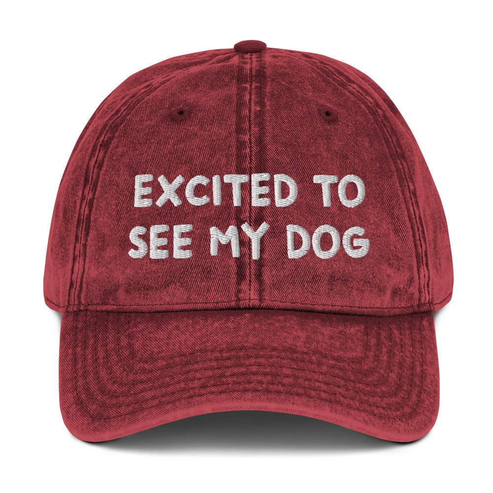 Excited To See My Dog Vintage Dad Hat - ninanush
