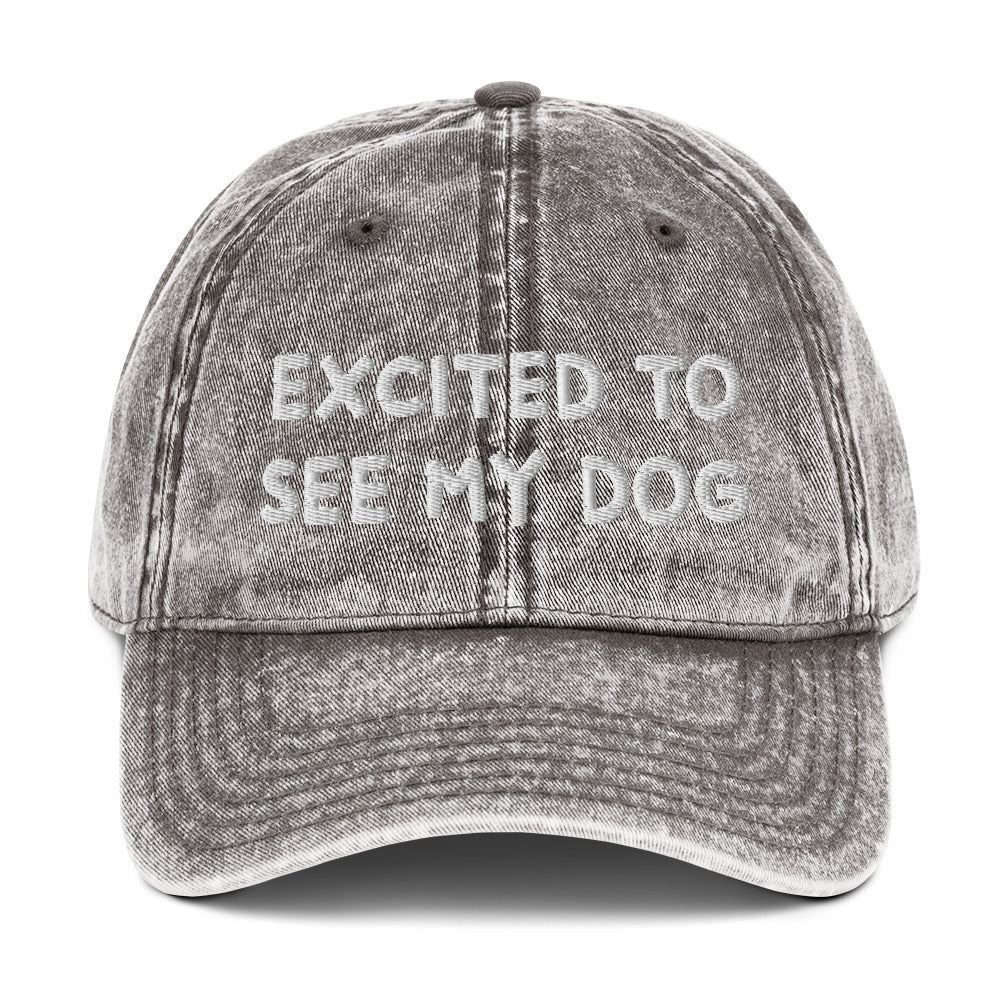 Excited To See My Dog Vintage Dad Hat - ninanush