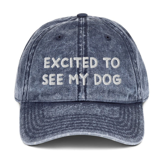 Excited To See My Dog Vintage Dad Hat - ninanush