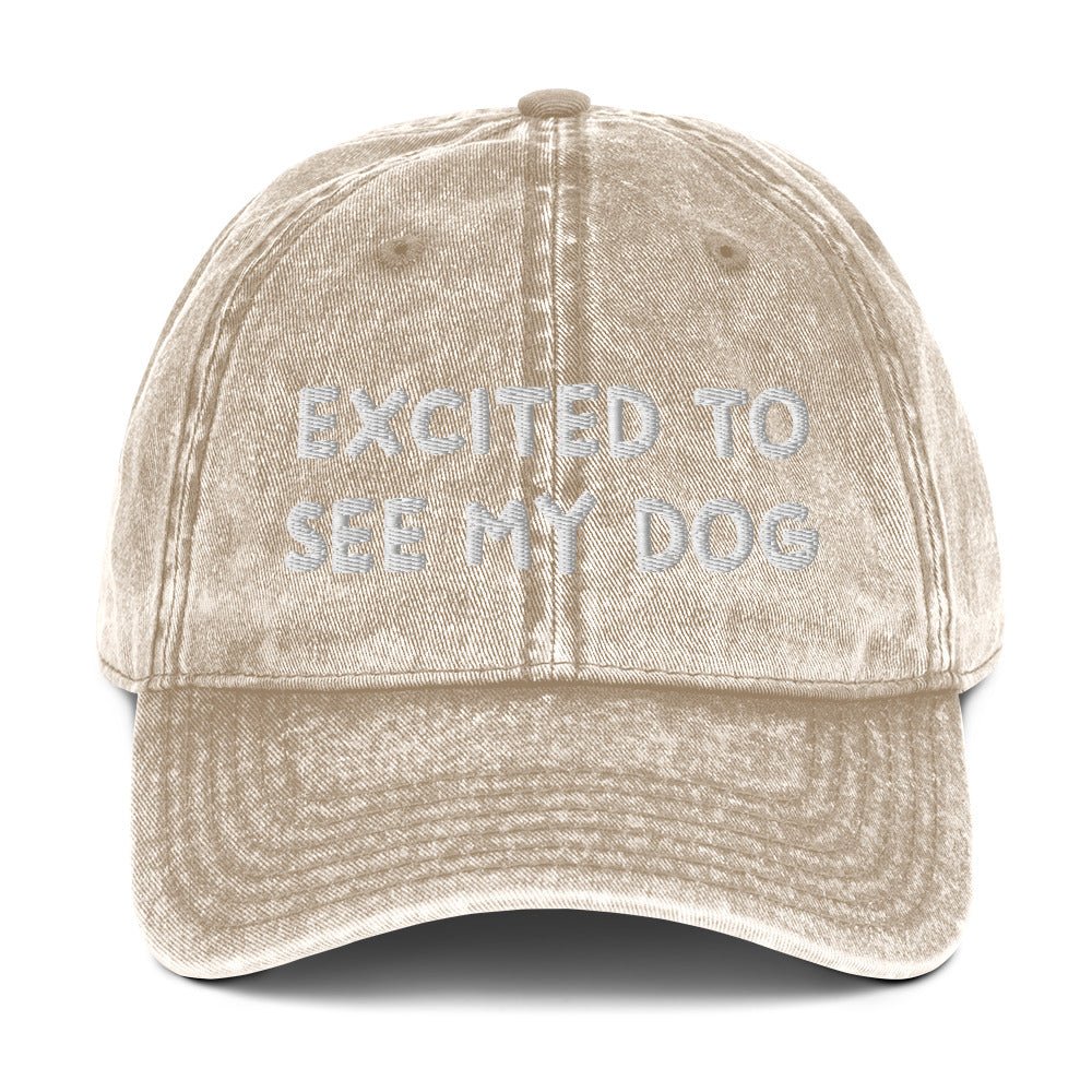 Excited To See My Dog Vintage Dad Hat - ninanush