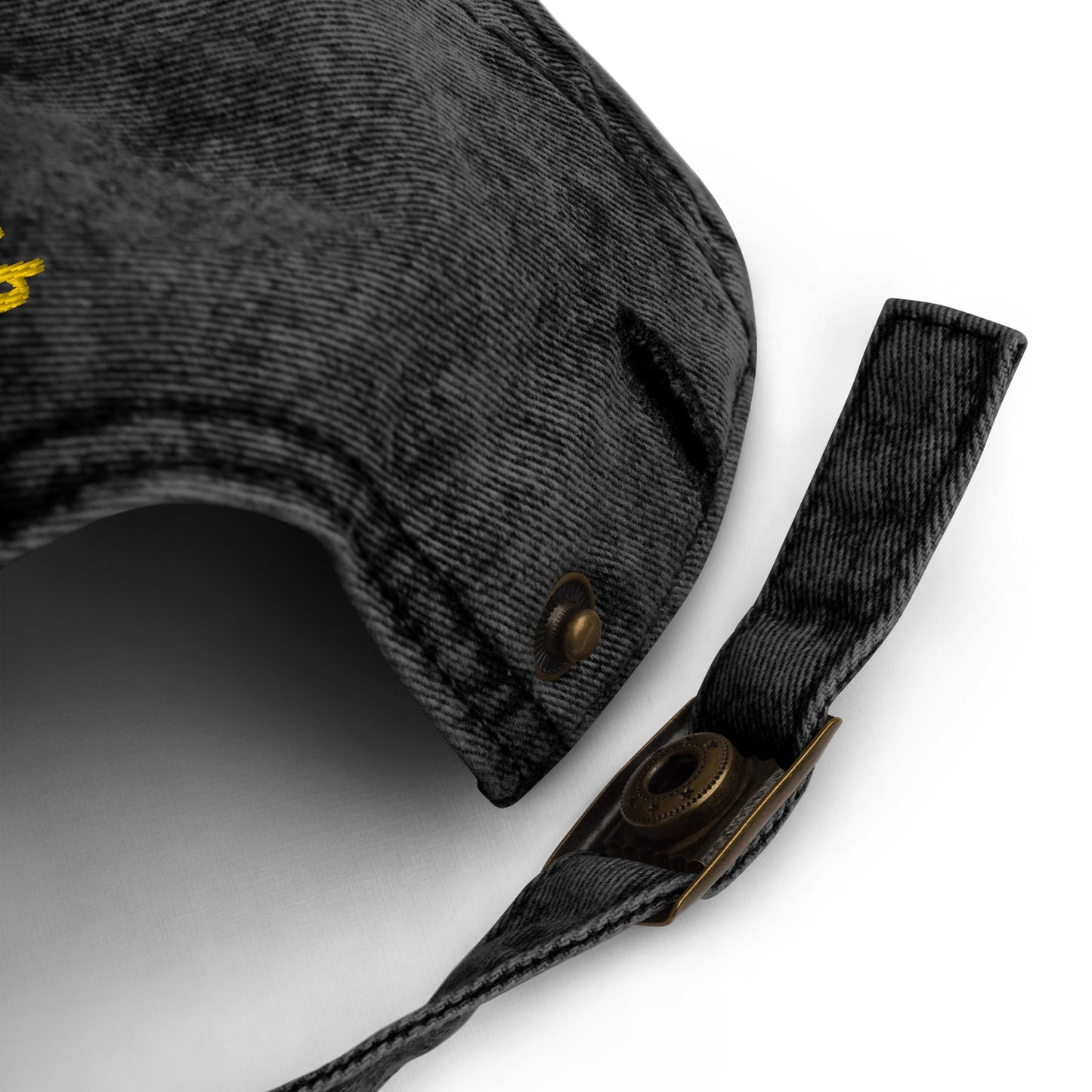 Fish Cake Vintage Dad Hat - ninanush