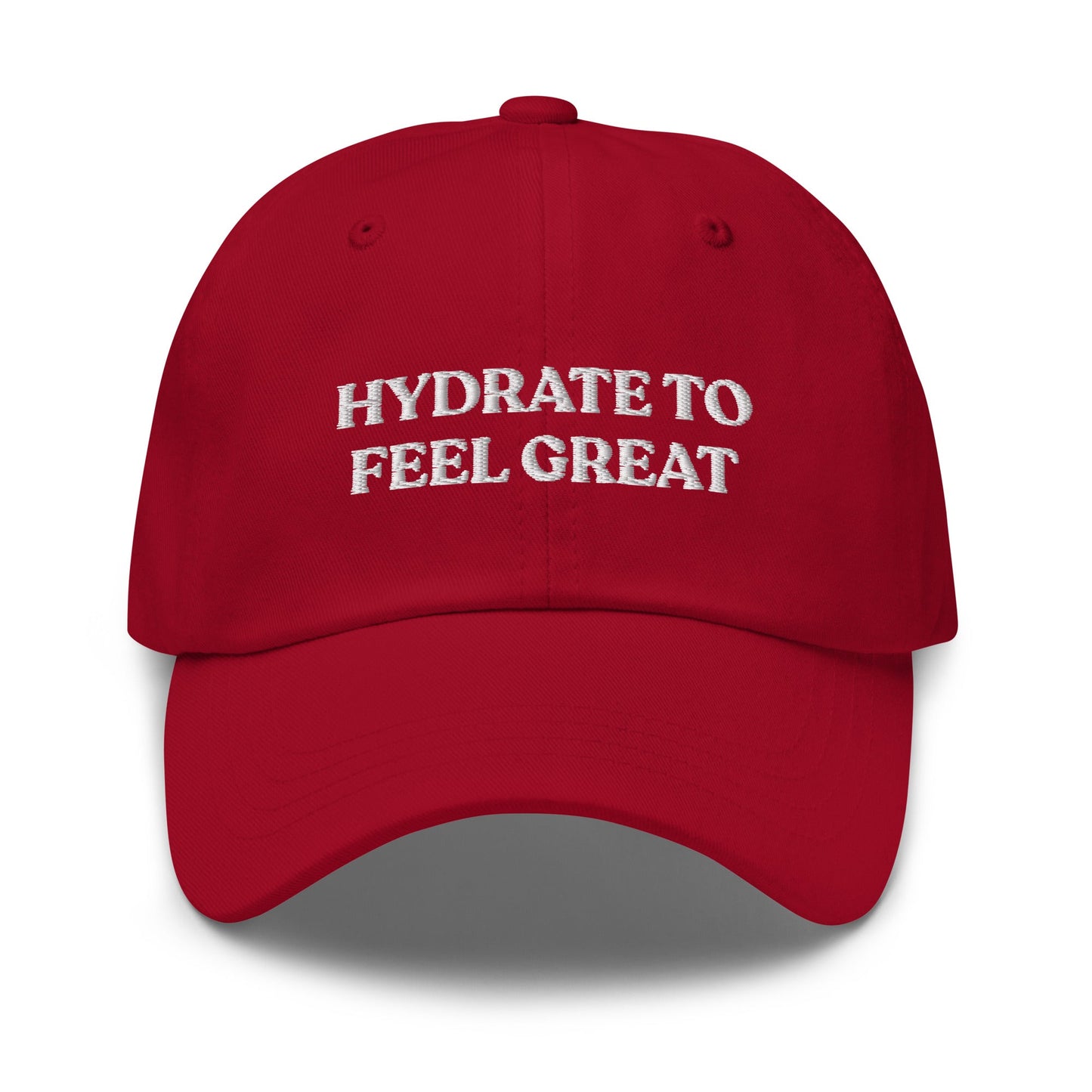 Hydrate To Feel Great Dad Hat - ninanush