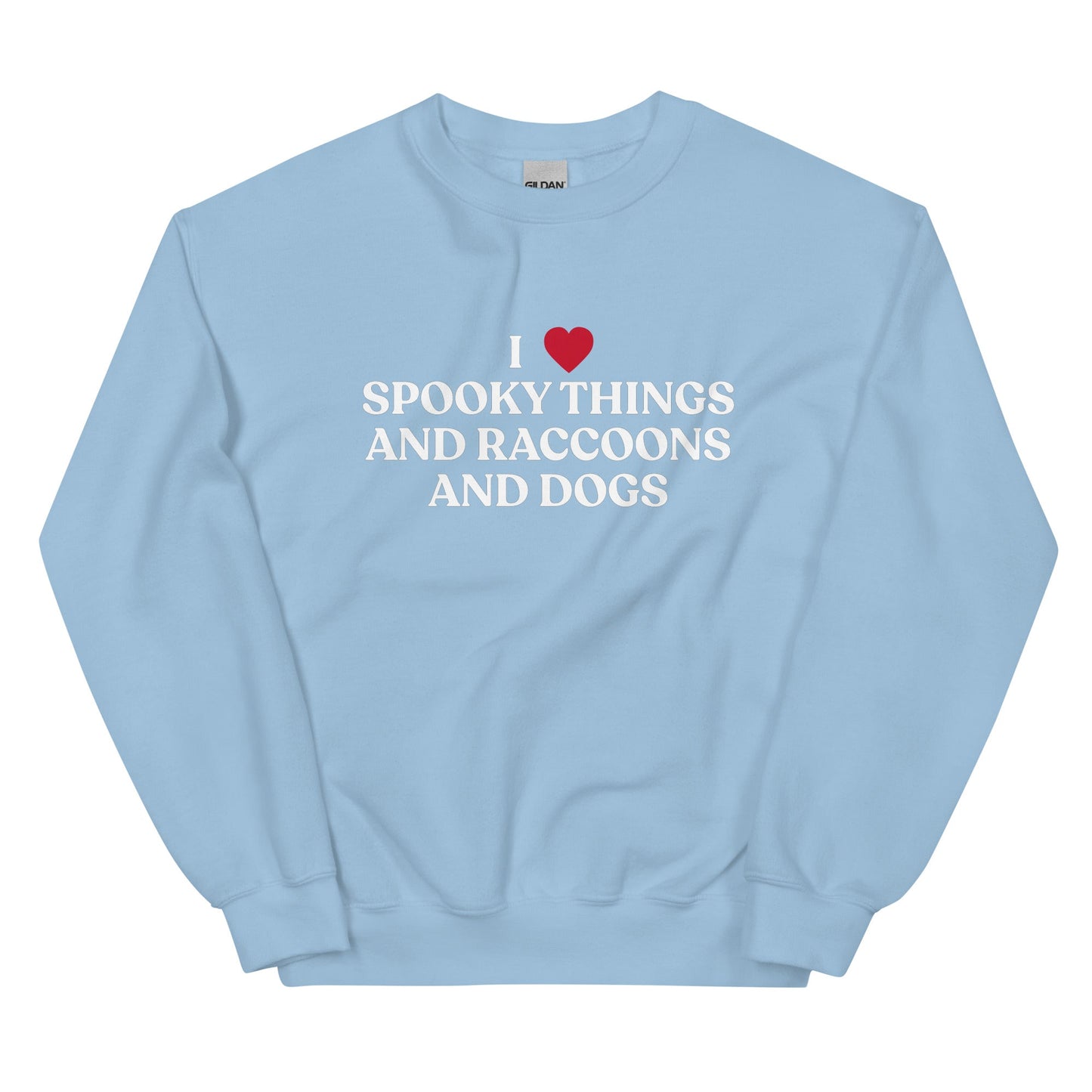 I Like Spooky Things Raccoons and Dogs Sweatshirt - ninanush