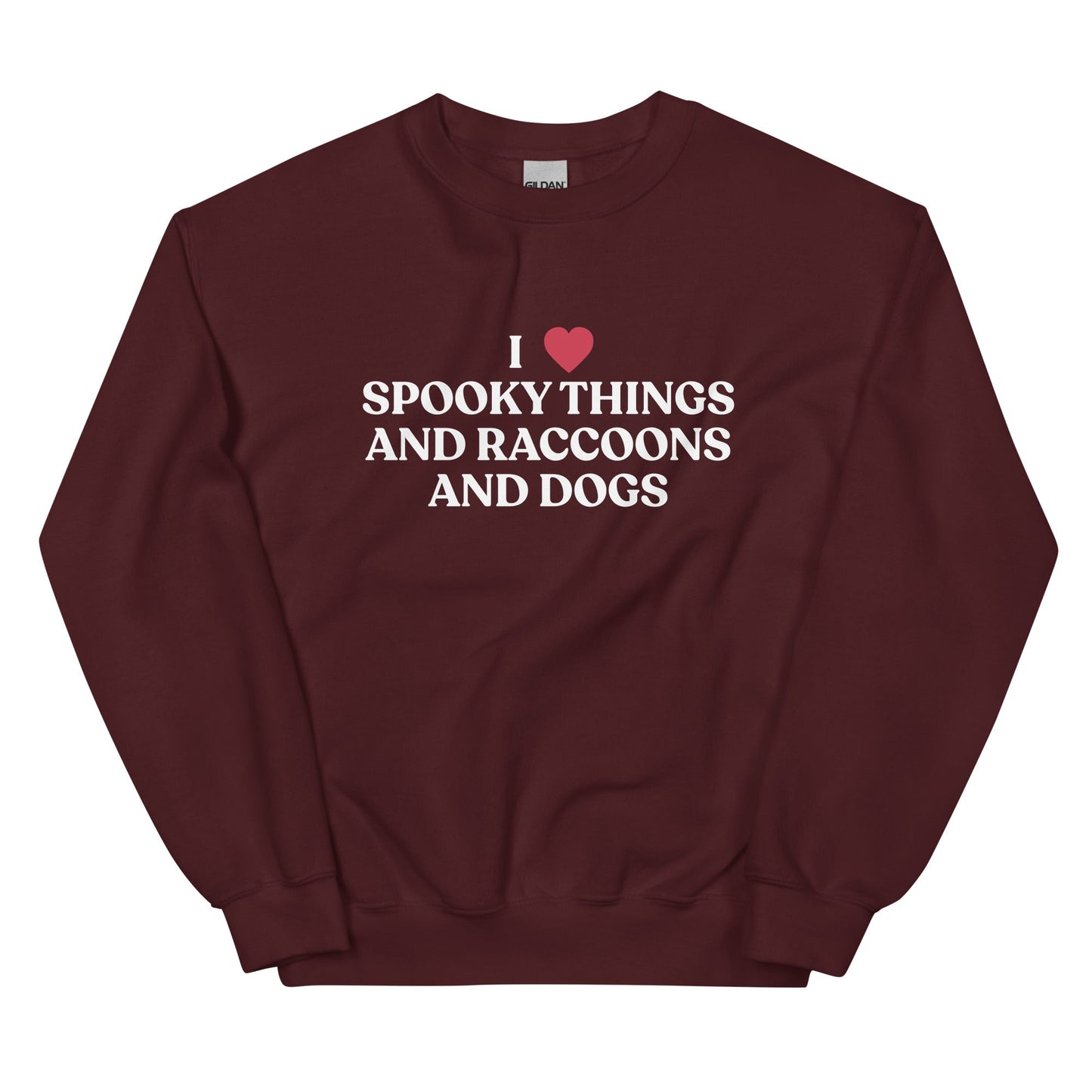 I Like Spooky Things Raccoons and Dogs Sweatshirt - ninanush