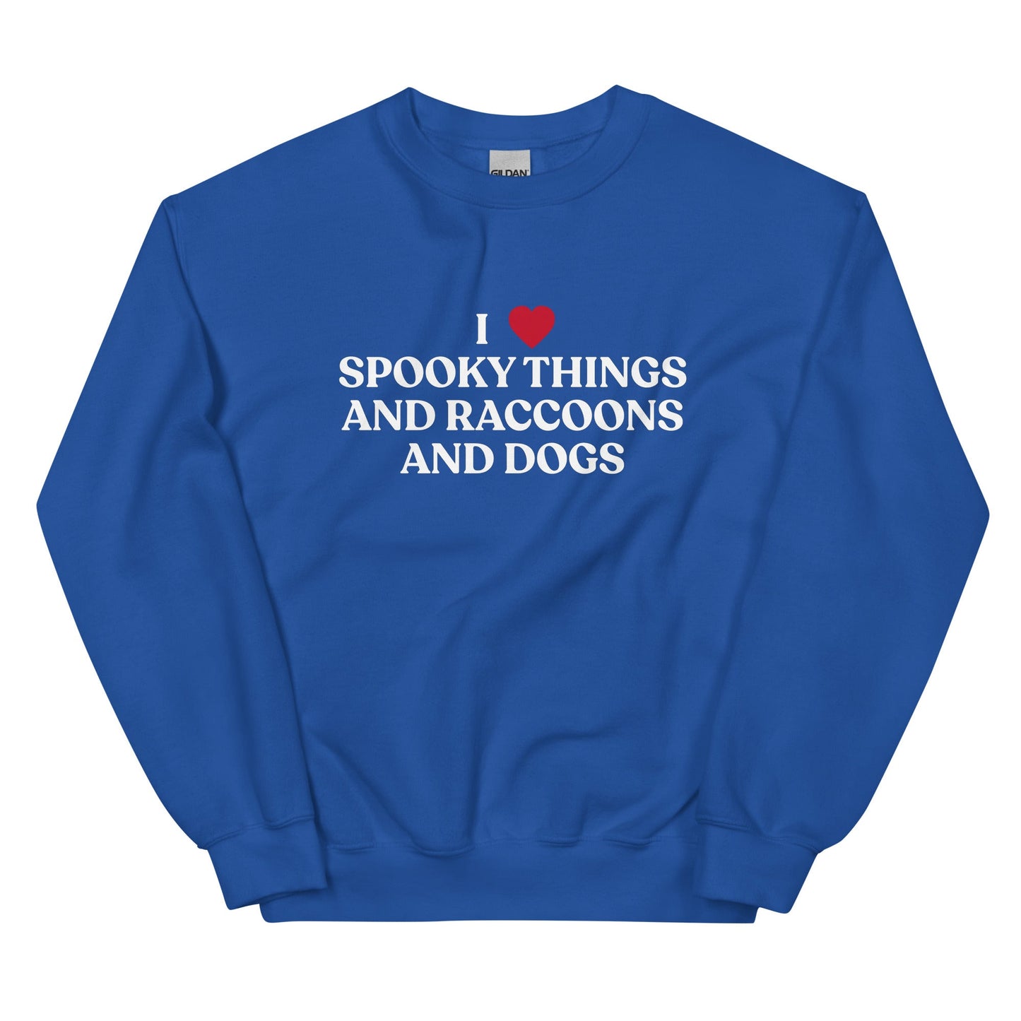 I Like Spooky Things Raccoons and Dogs Sweatshirt - ninanush