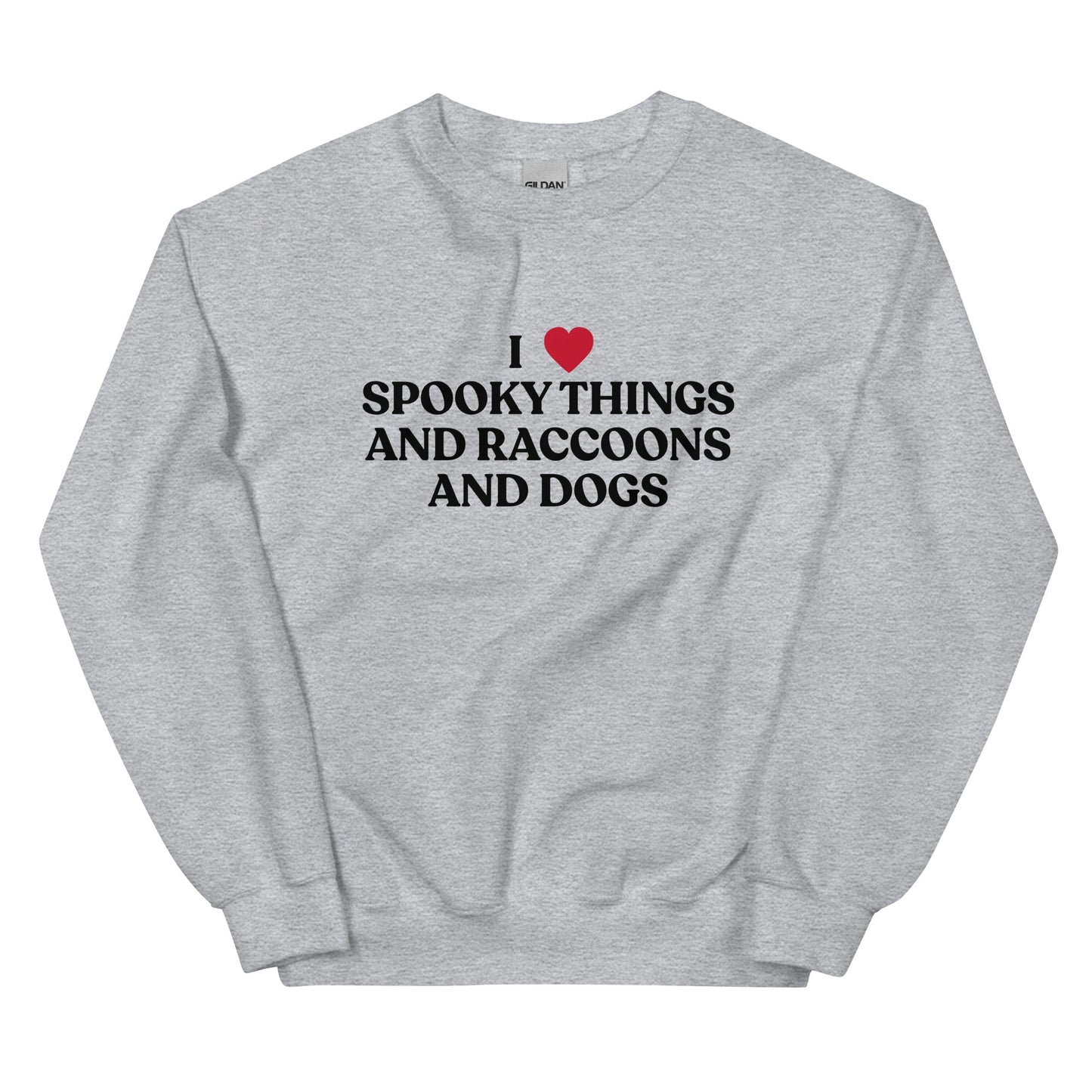 I Like Spooky Things Raccoons and Dogs Sweatshirt - ninanush