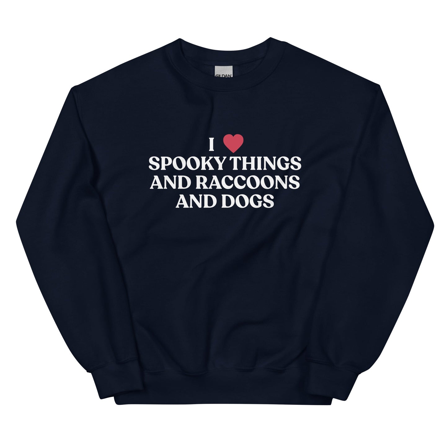 I Like Spooky Things Raccoons and Dogs Sweatshirt - ninanush