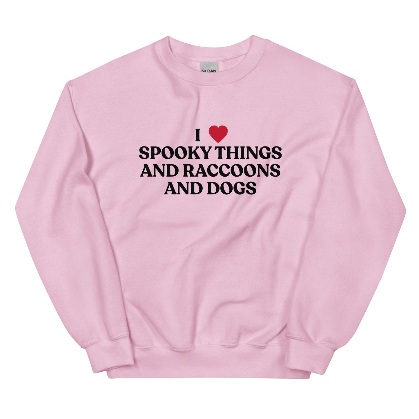 I Like Spooky Things Raccoons and Dogs Sweatshirt - ninanush