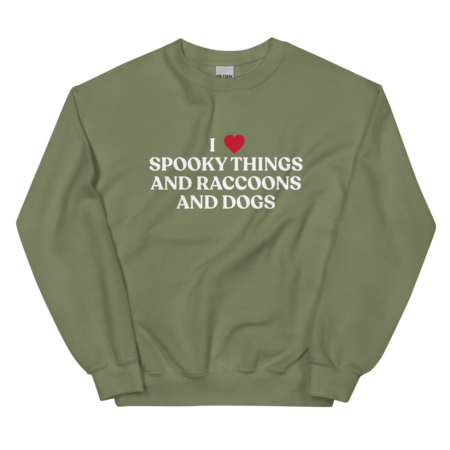 I Like Spooky Things Raccoons and Dogs Sweatshirt - ninanush