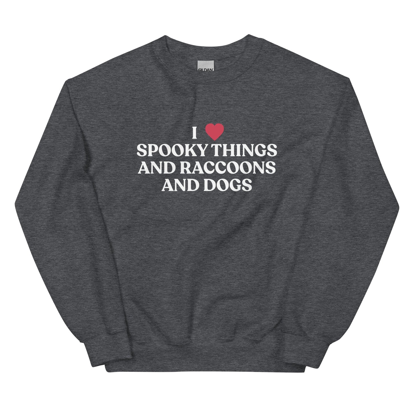 I Like Spooky Things Raccoons and Dogs Sweatshirt - ninanush