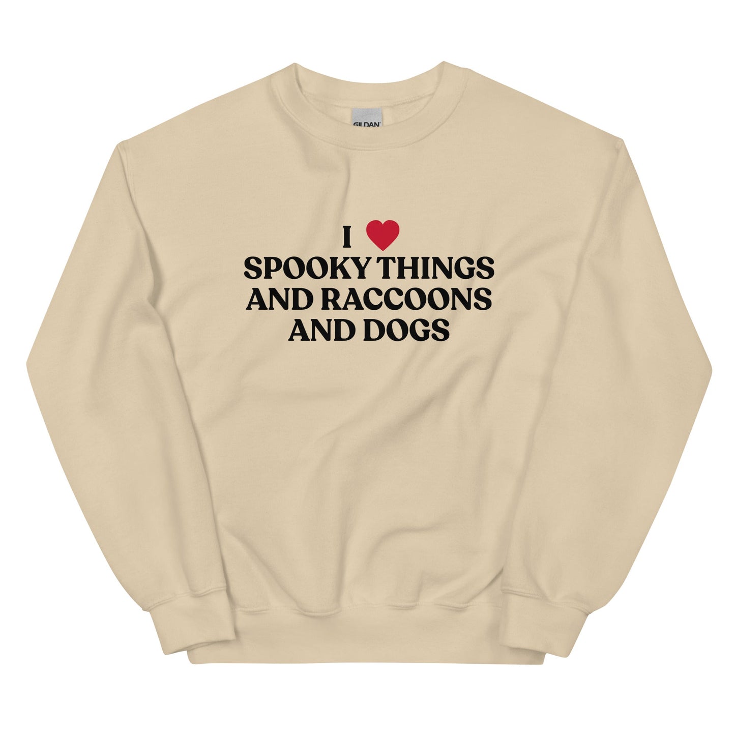 I Like Spooky Things Raccoons and Dogs Sweatshirt - ninanush