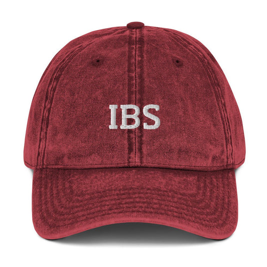 IBS Vintage Dad Hat - ninanush