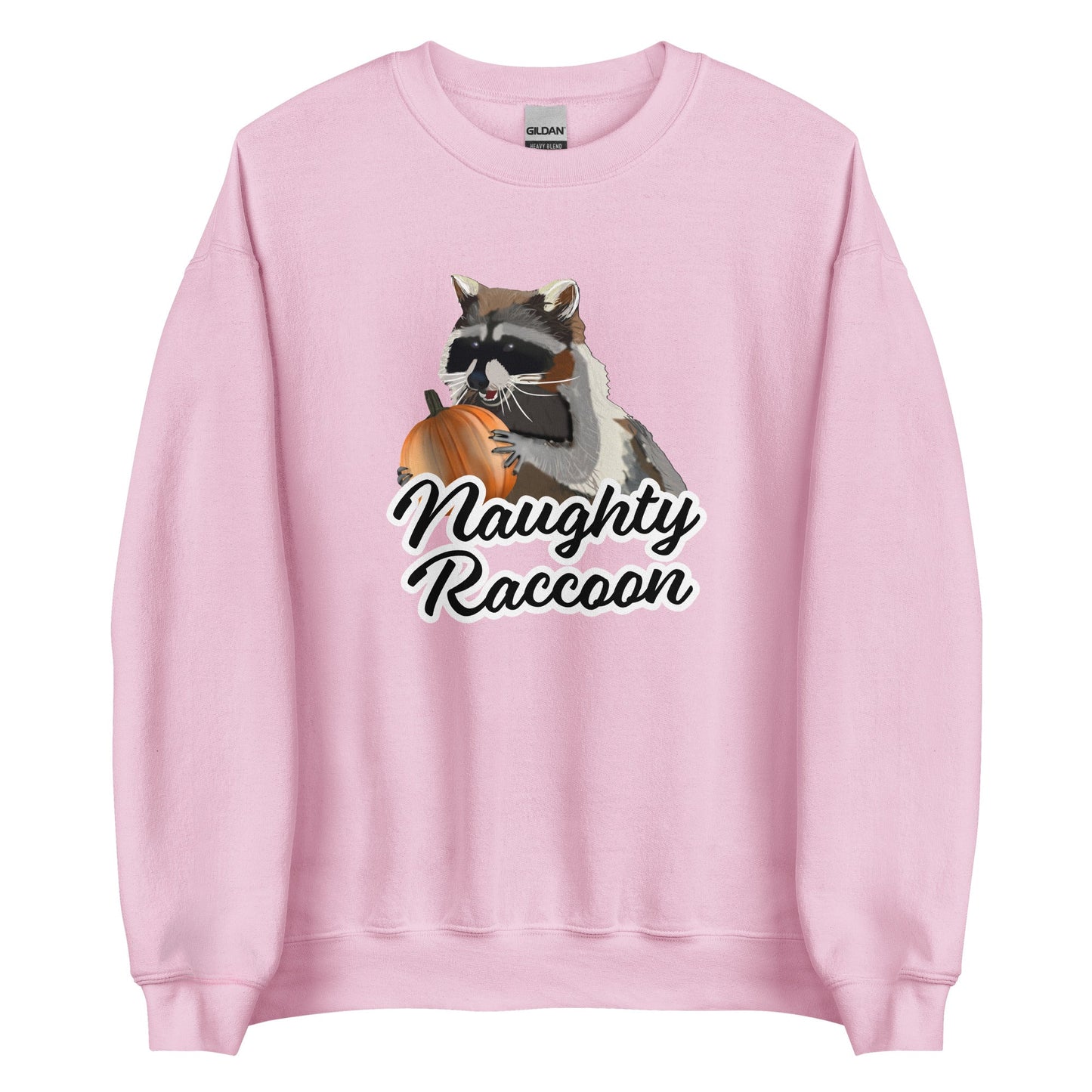 Naughty Pumpkin Raccoon Sweatshirt - ninanush