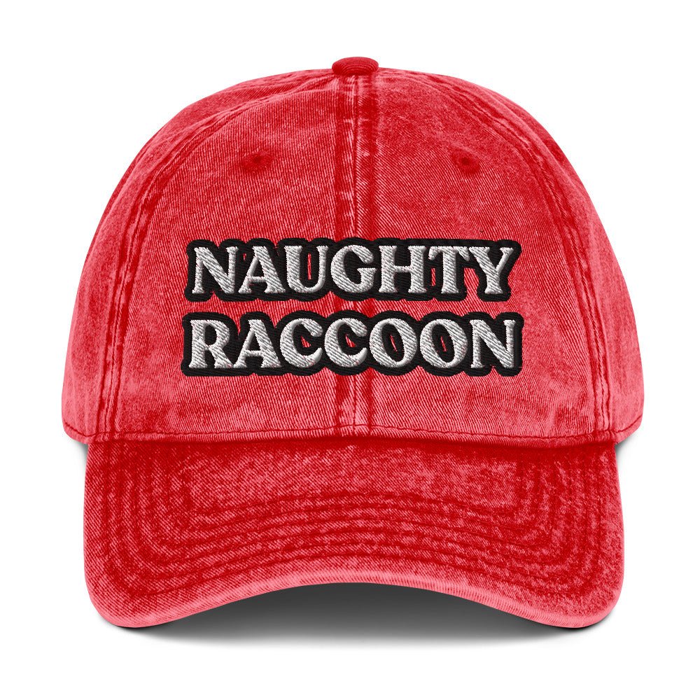 Naughty Raccoon Vintage Dad Hat - ninanush