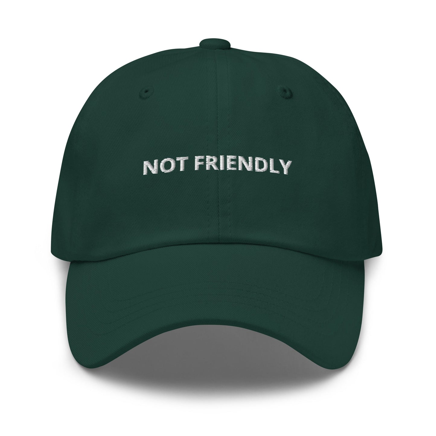 Not Friendly Dad Hat - ninanush