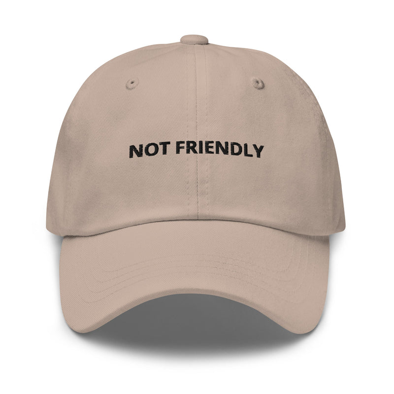 Not Friendly Dad Hat - ninanush