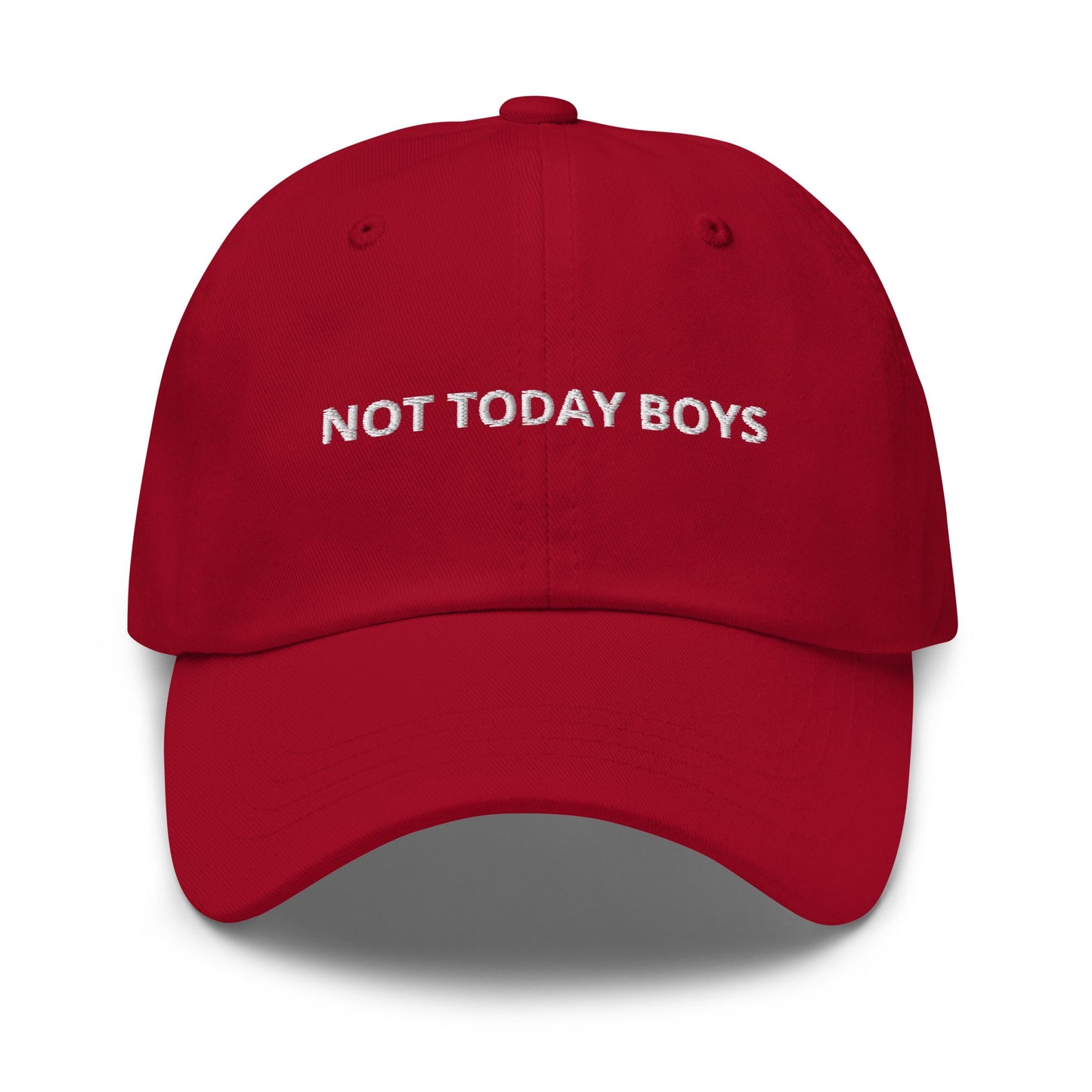 Not Today Boys Dad Hat - ninanush