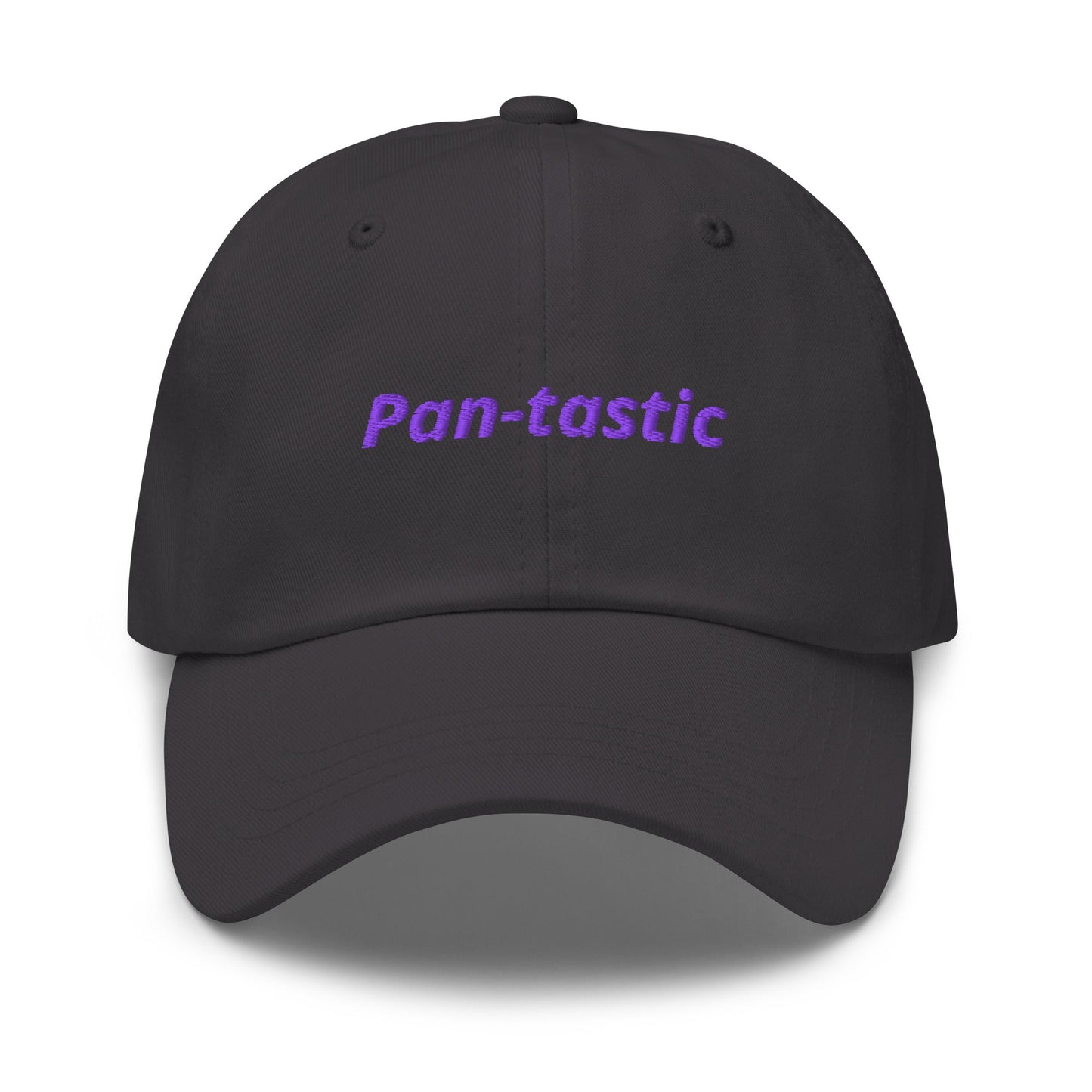 Pan-tastic Dad Hat - ninanush