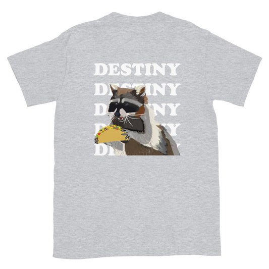 Raccoon Taco Destiny T-Shirt - ninanush