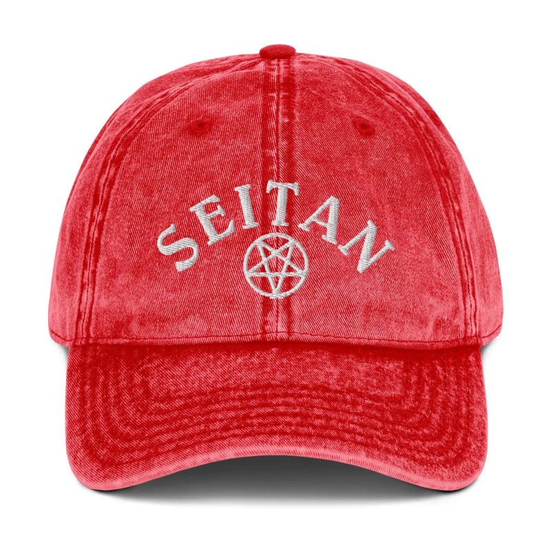 Seitan Vintage Dad Hat - ninanush