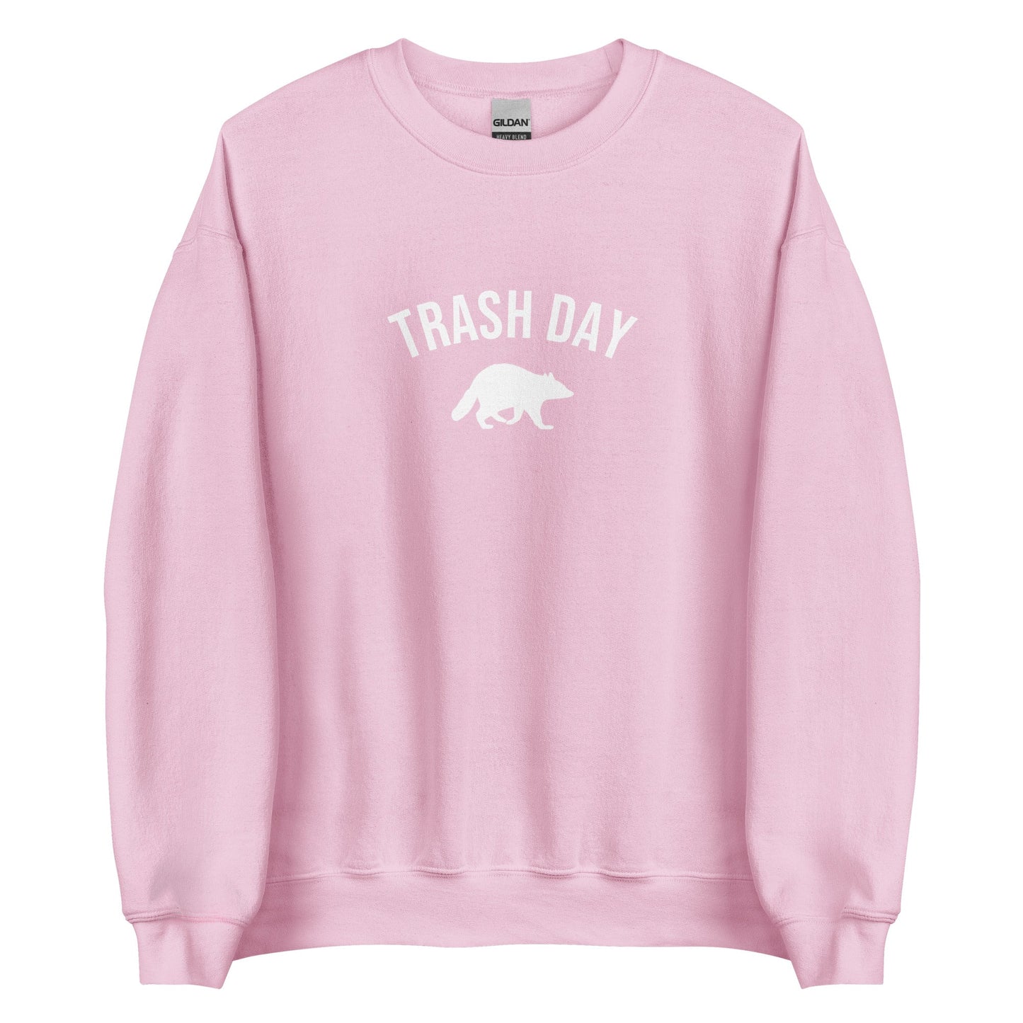 Trash Day Raccoon Sweatshirt - ninanush