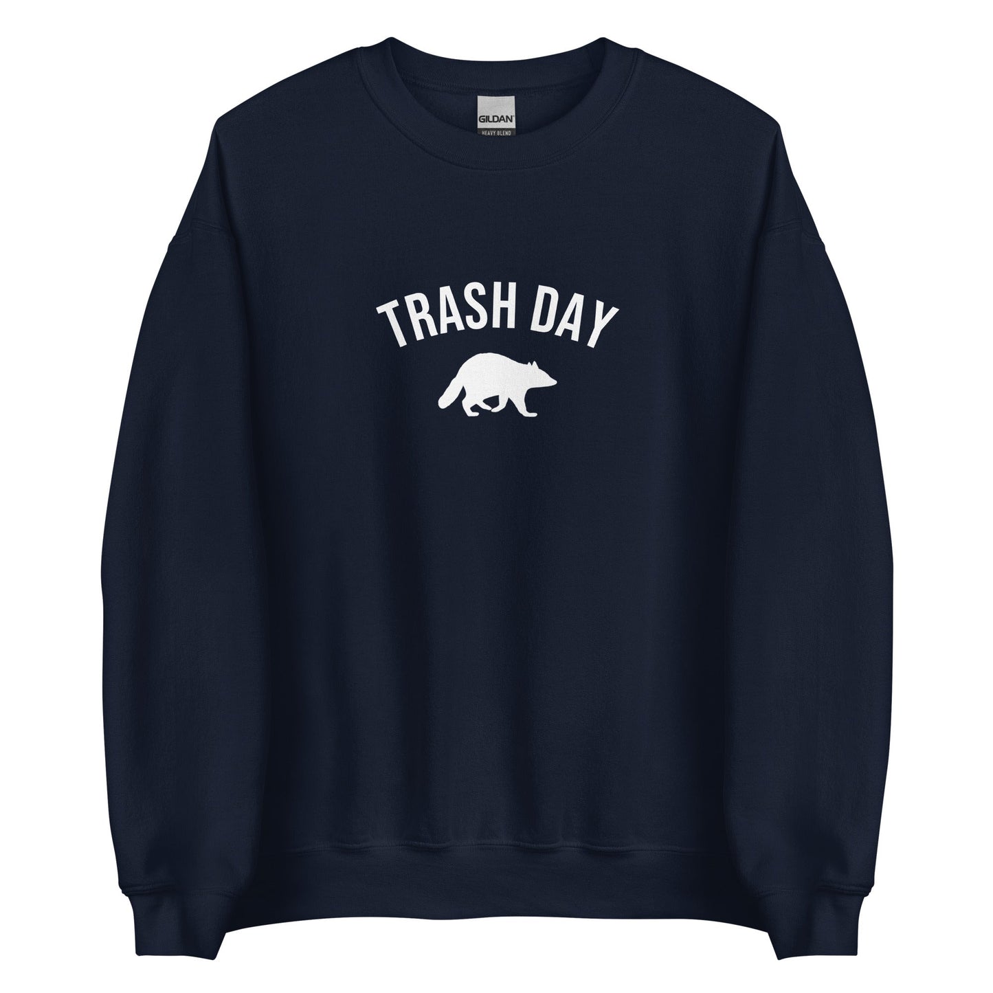 Trash Day Raccoon Sweatshirt - ninanush