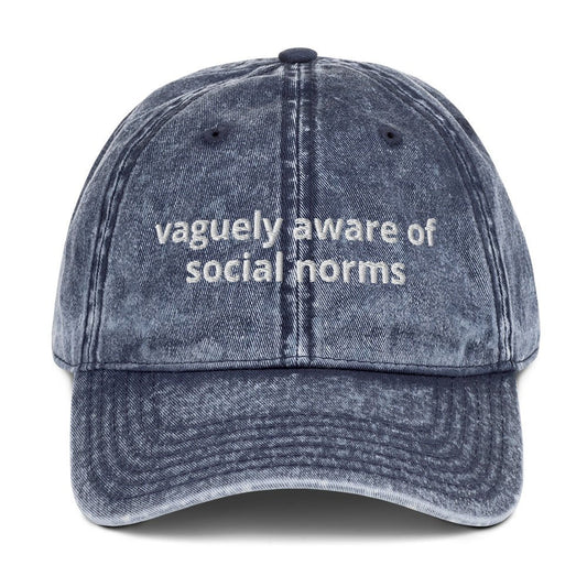 Vaguely Aware Of Social Norms Vintage Dad Hat - ninanush