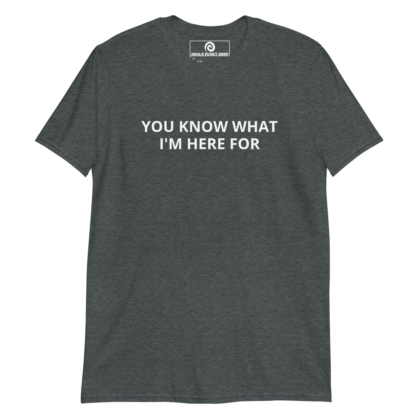 You Know What I'm Here For T-Shirt - ninanush