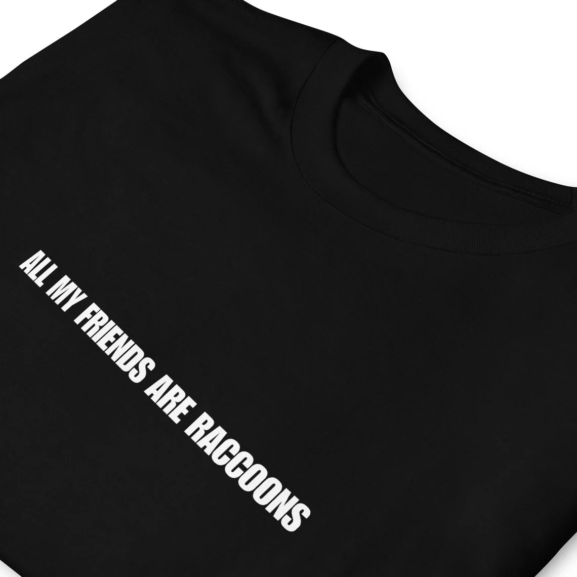 All My Friends Are Raccoons T-Shirt - ninanush