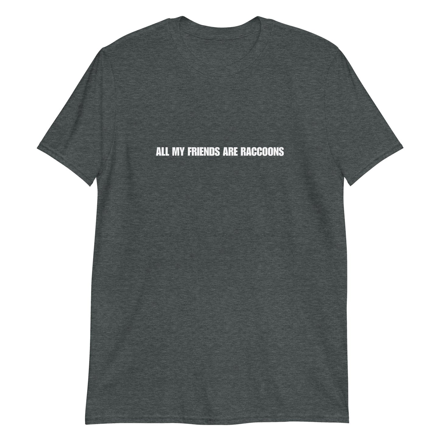 All My Friends Are Raccoons T-Shirt - ninanush